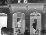 fotogregorpawlik2015