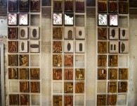 foto by annamartineztorresbanana