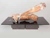 fotogregorpawlik2015