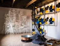 Habitat,Wasser ,Wind